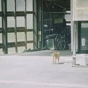 @の画像