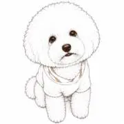 まる꒰ 。•ω•。 ꒱の画像