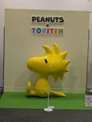 いもちゃんの画像