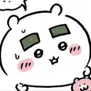 ノリの画像