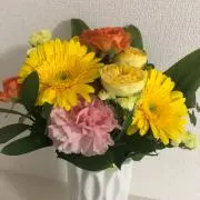 まひまひ