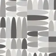 Ss5の画像