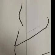 コーヒー