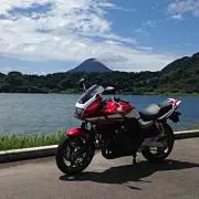 うめの画像