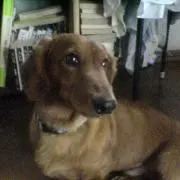 キーの画像