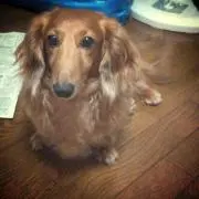 さかまこ