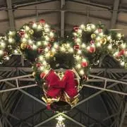 こっとんの画像