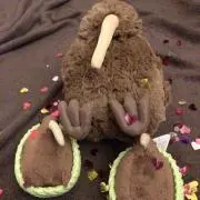 モカ