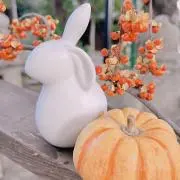 りりーの画像