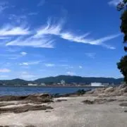 special505の画像