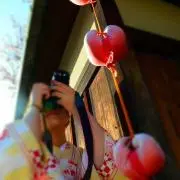 aynの画像