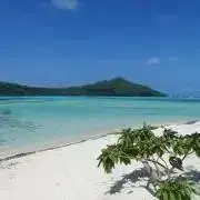 うみの画像