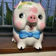 ぽーちゃんの画像