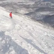 ピーナッツ