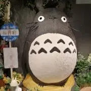 たろさんの画像