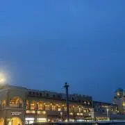 Swallowsの画像