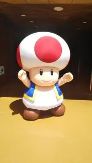 チャイロイコグマの画像