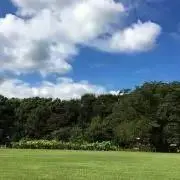 ピエールミー
