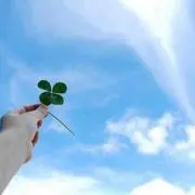 TenTenよーこ