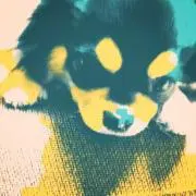 myzの画像