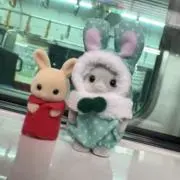 結月。即購入値下げ交渉◎の画像