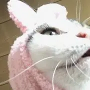 みゆみゆ