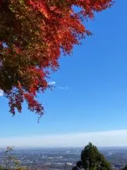 雪の画像