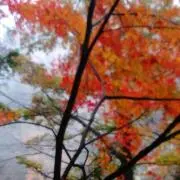 地理丸の画像