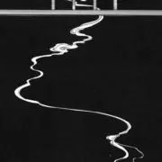 レイの画像