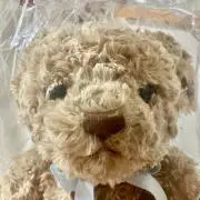 イブン♡の画像