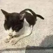くもりの画像