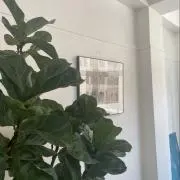 fumiの画像