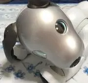 ななのママ
