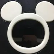 Sasari