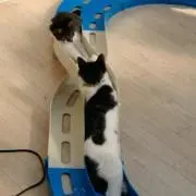 りーさん♪プロフ必読*の画像