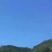 矢印
