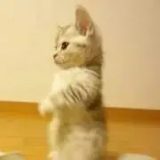 ヨシヲ