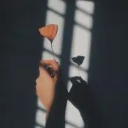 nonoの画像