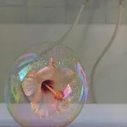 TAの画像