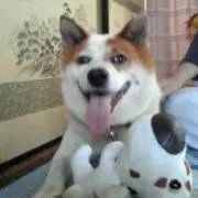 ｆｕｃｃｈｉｋｉｓｓの画像