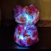 DDの画像