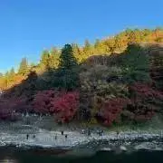 ☆みん☆の画像