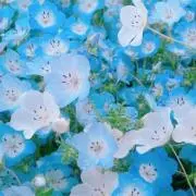 yo...♪*発送週末になります.ˬ.)の画像