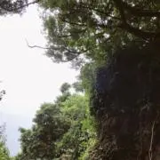 aki 挨拶不用、プロフ確認の画像