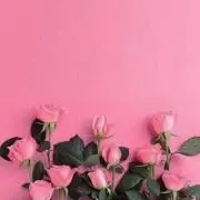 minminの画像