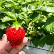 みみん★フォロー割❤️してます！