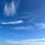 みの画像