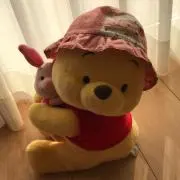 ねこぱんだ  ❤︎プロフ要確認❤︎の画像
