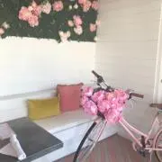 ひまわりの画像