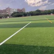 Fescrxの画像